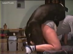 Woman luring her dog tempting him with her twat
